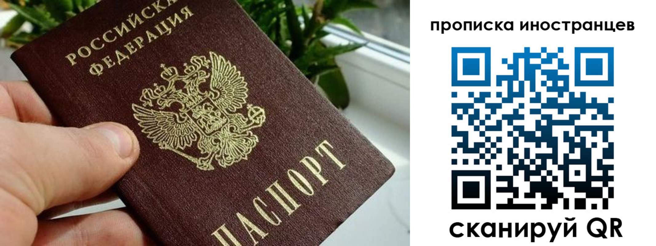 временная регистрация в Донецке